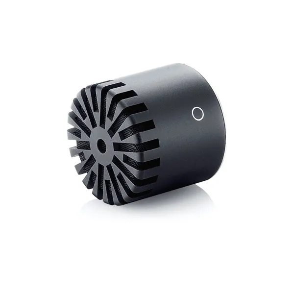DPA 2006 capsule micro statique omni